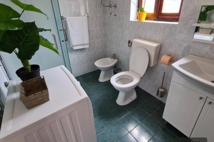 Apartment Sofia Mali Losinj